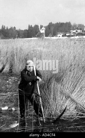 ERIC EDWARDS REED CUTTER WIE HILL IN DER NÄHE VON LUDHAM NORFOLK BROADS NORFOLK EAST ANGLIA ENGLAND UK Stockfoto