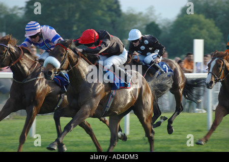 Pferd Rennen treffen Stockfoto