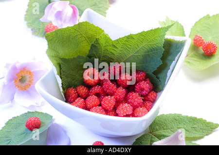 Kleine Schüssel mit Himbeeren und Blüten Stockfoto