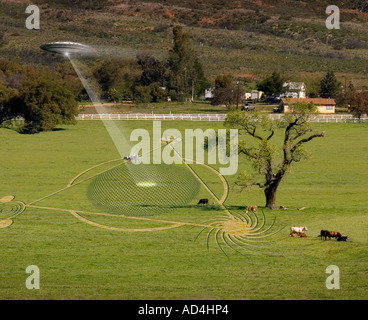 Abbildung eines UFO bilden ein Kornkreis und entführen eine Kuh Stockfoto