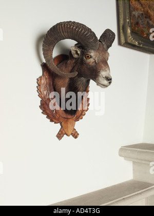 Eine ausgestopfte Ziege Kopf an der Wand Stockfoto
