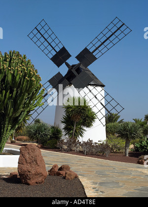 Windmühle auf der spanischen Insel Fuerteventura auf den Kanarischen Inseln Stockfoto