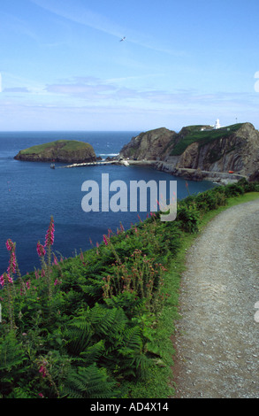 Straße zum Hafen auf Lundy Island England Stockfoto