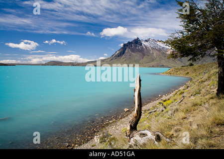 Tree Stump See Belgrano Cerro Mie Stockfoto