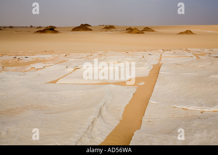 Nahaufnahme aus weißem Kalkstein, Ernte bilden Pflaster auf Wüstenboden. Auf dem Weg zum Gilf Kebir, Wüste Sahara. Ägypten. Stockfoto