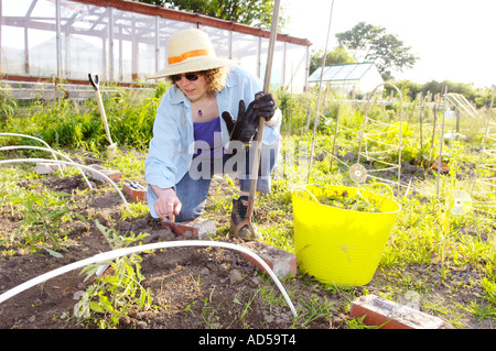 Frau, die im Sommer an der Zuteilung arbeitet Stockfoto