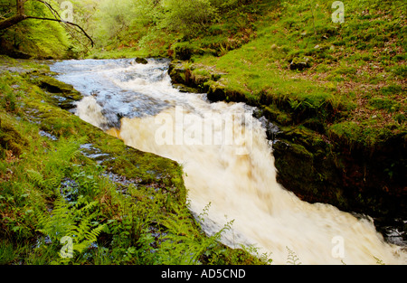 Lower Cilhepste Falls überlappend auf die Afon Hepste Teil der Wasserfall-Wanderung bei Pontneddfechan South Wales UK Stockfoto