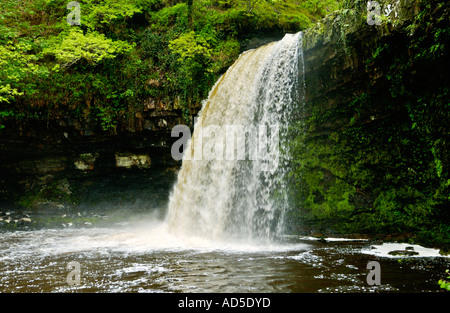 Sgwd Gwladus oder Lady Falls Afon Pyrddin River in der Nähe von Pontneddfechan South Wales UK GB EU Stockfoto