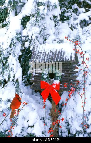 Männliche Kardinal von Log Vogelhaus mit Pfeil und Bogen Kranz im Schnee bedeckt Zeder, Midwest USA Stockfoto