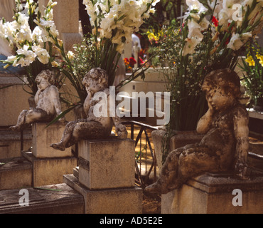 Drei Gräber mit Cherub Statuen geschmückt mit weißen Gladiolen für den Tag der Toten, der San Miguel-Friedhof in Oaxaca, Mexiko Stockfoto