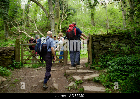 Wandern Gruppe auf Wanderweg im Wald kommen durch Tor in Steinmauer in einem Wald in der "Schwarzen Berge" South Wales UK Stockfoto