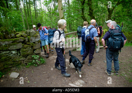 Wandern Gruppe auf Wanderweg im Wald kommen durch Tor in Steinmauer in einem Wald in der "Schwarzen Berge" South Wales UK Stockfoto