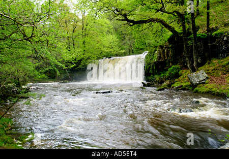 Oberen Sgwd Ddwli Wasserfall mit großen Volumen von Wasser fällt über Nedd Fechan River in der Nähe von Pontneddfechan South Wales UK Stockfoto