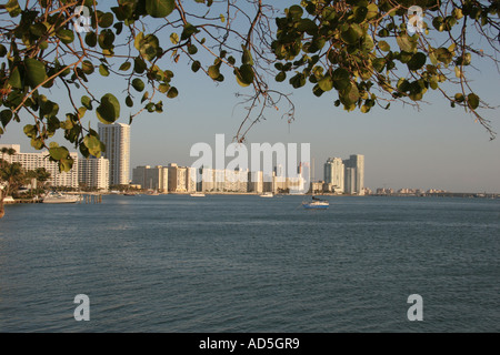 Skyline von Miami Beach Stockfoto