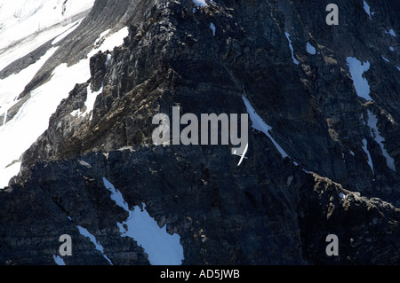 Gleiter und Bergrücken oberhalb Huxley River North Branch Südalpen Südinsel Neuseeland Stockfoto