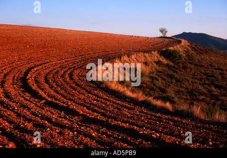 Die gebogene Furchen eines frisch gepflügten Feldes bei Sonnenuntergang in Sierra de Albarracin Spanien Stockfoto