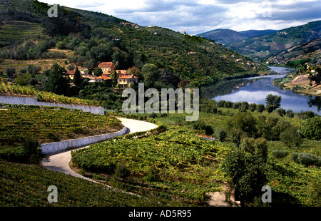 Portugal Douro-Tal Portwein Reihenhaus Stockfoto