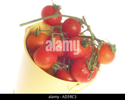 Frisch gepflückten Tomaten in einen gelben Eimer Stockfoto