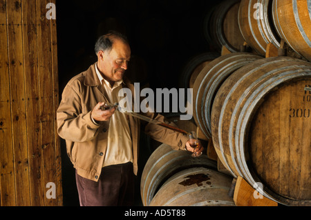 Torres Spanien Tests Cognac Brandy noch Stills Mann Geschmack testen, Probe Stockfoto