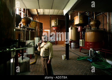 Spanien Wein Cognac Brandy noch Stills Mann Geschmack testen, Probe Glas Weinprobe Trinker Toper Säufer Stockfoto