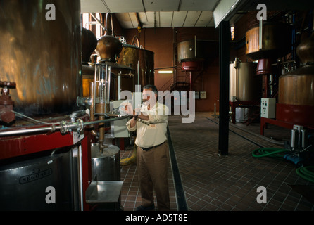 Spanien Wein Cognac Brandy noch Stills Mann Geschmack testen, Probe Glas Weinprobe Trinker Toper Säufer Stockfoto