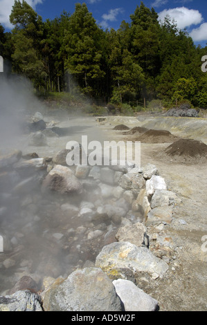 Thermische Vulkanismus am Lake Sao Miguel Island Azoren Stockfoto