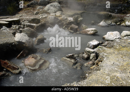 Thermische Vulkanismus in Furnas Lake Sao Miguel Island Azoren Stockfoto