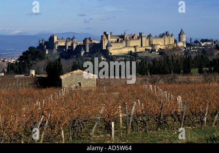 Carcassonne, eine Stadt auf einem Hügel im südfranzösischen Languedoc, berühmt für ihre mittelalterliche Zitadelle, La Cité, mit zahlreichen Wachtürmen in Frankreich Stockfoto