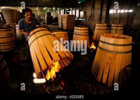 Frankreich Cognac Destillerie Keller Cask Fass Küferei Stockfoto