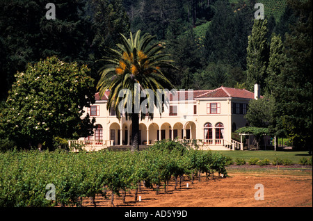 USA Wein Weinberg Vintage Trauben Weingut Vereinigte Staaten Napa Valley Sonoma Valley, Kalifornien Stockfoto