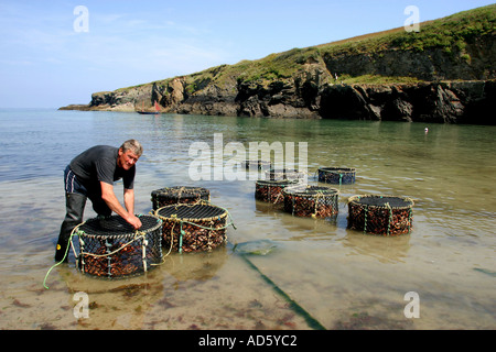 Bringt im Shop Töpfe in Port Gaverne in der Nähe von Port Isaac Cornwall UK Stockfoto