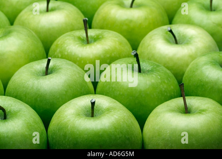 Granny Smith Äpfel Stockfoto