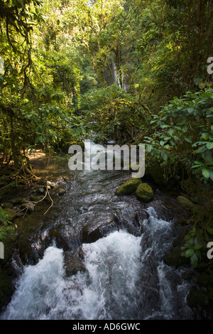 Wasserfall in La Paz Wasserfall Gärten auf den unteren Hängen des Vulkan Poas in Central Valley und Highlands Provinz Costa Rica Stockfoto