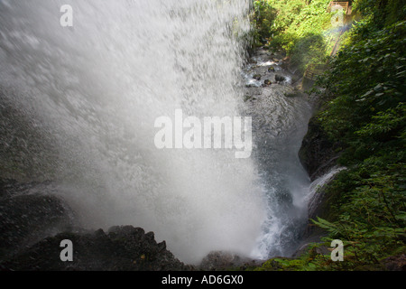 Wasserfall in La Paz Wasserfall Gärten auf den unteren Hängen des Vulkan Poas in Central Valley und Highlands Provinz Costa Rica Stockfoto