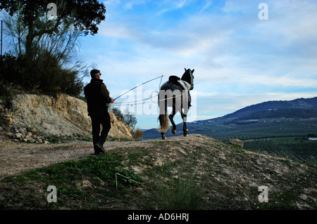 Spanische Reiter Reiter, Ausbildung von jungen andalusischen Hengst in Spanien Stockfoto