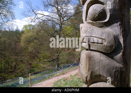 Ein Totempfahl in den Zauberwald, Groombridge Place, in der Nähe von Tunbridge Wells, Kent. Stockfoto