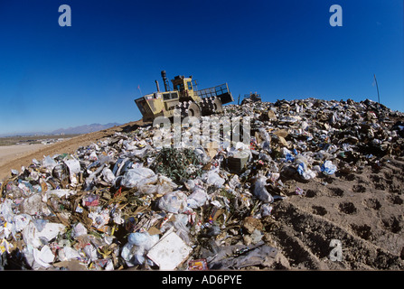 Eine große Katze Pflüge Müll auf einer Deponie Stockfoto