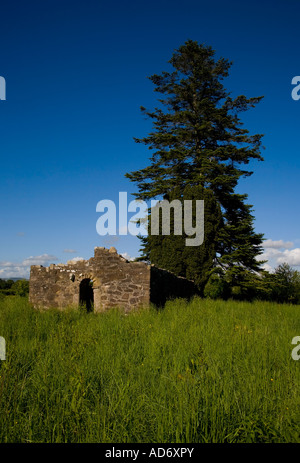 Ein kürzlich renovierten romanischen Tor in Kilbunny Kirche, Portlaw, Grafschaft Waterford, Irland Stockfoto