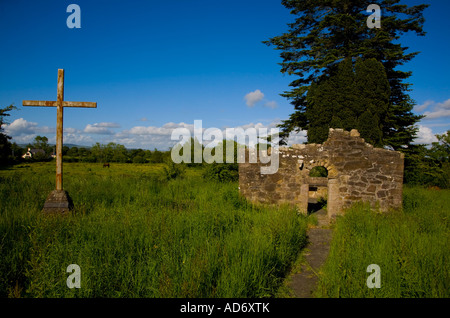 Ein kürzlich renovierten romanischen Tor in Kilbunny Kirche, Portlaw, Grafschaft Waterford, Irland Stockfoto