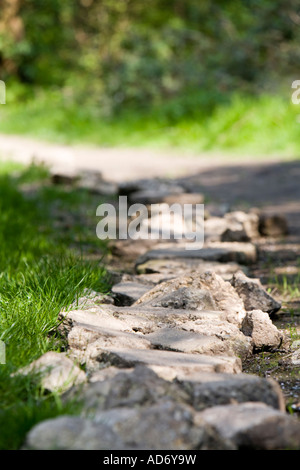 Blick aus dem Boden ein Steinpfad Weg aus der Entfernung grüne Gras auf beiden Seiten Stockfoto