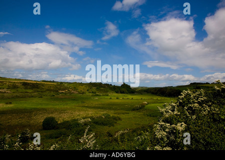 Recycling von Schilfbeständen unter fernen Dunhill Burg, Annestown, Kupfer Küste, Grafschaft Waterford, Irland Stockfoto