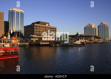 Skyline von Halifax am frühen Morgen, Nova Scotia, Kanada, Nordamerika. Foto: Willy Matheisl Stockfoto