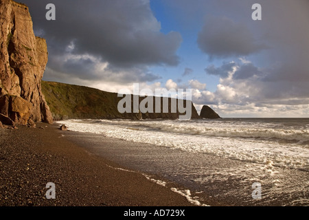 Ballydowane Bucht, in der Nähe von Bunmahon, Copper Coast Geopark, Grafschaft Waterford Irland Stockfoto