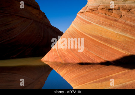 Gekerbten Sandstein spiegelt sich im Wasser an The Wave Coyote Buttes Paria Canyon Vermilion Cliffs Wilderness Arizona Stockfoto