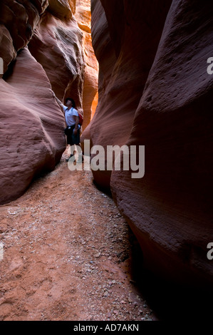 Wanderer aus Sandstein Slot Canyon Buckskin Gulch Paria Canyon-Vermilion Cliffs Wilderness Utah Stockfoto