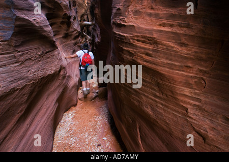Wanderer aus Sandstein Slot Canyon Buckskin Gulch Paria Canyon-Vermilion Cliffs Wilderness Utah Stockfoto