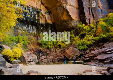 Obere Emerald Pool Emerald Pools Trail Zion Canyon Zion Nationalpark, Utah Stockfoto