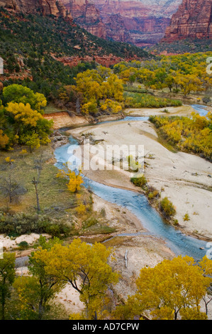 Virgin River und Farben des Herbstes auf Bäumen unter Klippen in Zion Canyon Zion National Park in Utah Stockfoto