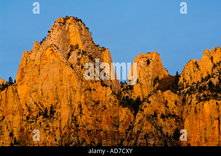 Sunrise-Licht auf die Türme der Jungfrau Zion Canyon Zion Nationalpark Utah Stockfoto