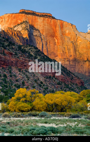 Sunrise-Licht auf der westlichen Tempel Zion Canyon Zion Nationalpark Utahs Stockfoto